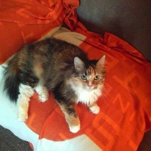 Meet your Posher, Leona